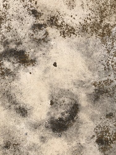 WALL 19 par Marc Feld, Photographie en vente sur Singulart