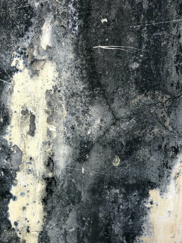 WALL / SÉRIE TRIESTE by Marc Feld, Photography for Sale on Singulart