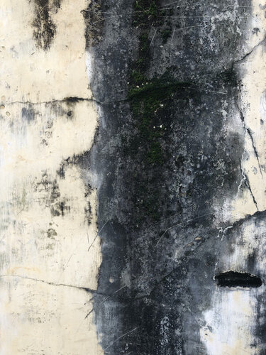 WALL / SÉRIE TRIESTE von Marc Feld, Fotografie kaufen auf Singulart