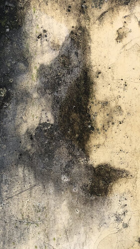 WALL / SÉRIE TRIESTE von Marc Feld, Fotografie kaufen auf Singulart