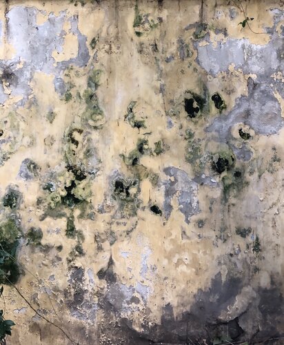 WALL / SÉRIE NAPLES van Marc Feld, Fotografie te koop op Singulart