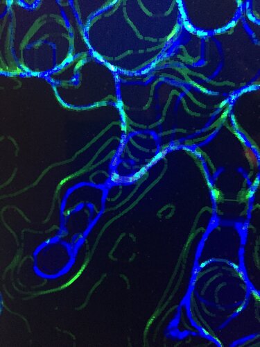 SANS TITRE di Marc Feld, Digitale in vendita su Singulart