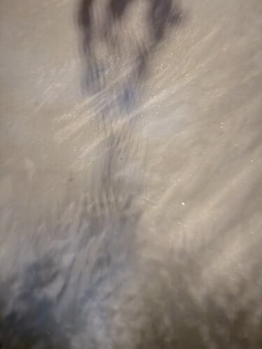 SANS TITRE par Marc Feld, Photographie en vente sur Singulart