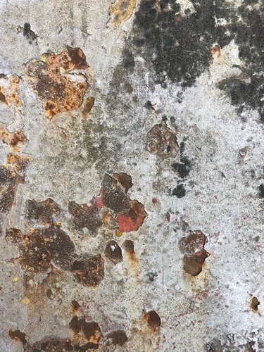 WALL / SÉRIE HELSINKI by Marc Feld, Photography for Sale on Singulart