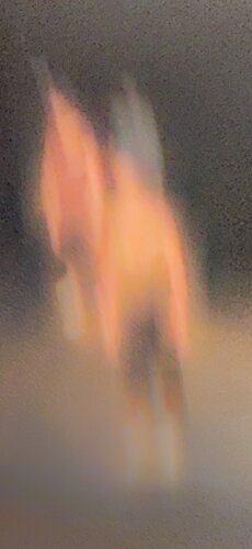 RHIZOME CORPUS 1 de Marc Feld, Fotografía a la venta en Singulart