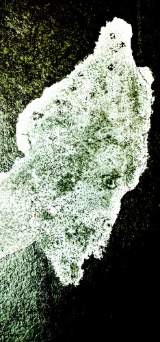 PRÉSENCE 2 by Marc Feld, Photography for Sale on Singulart