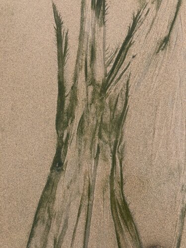 SABLES INVENTÉS 11 by Marc Feld, Photography for Sale on Singulart