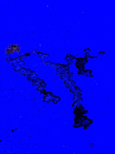 LITTLE DANCE 1 van Marc Feld, Fotografie te koop op Singulart