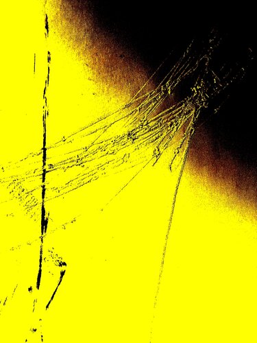 LINES OF MEMORY 4 van Marc Feld, Fotografie te koop op Singulart