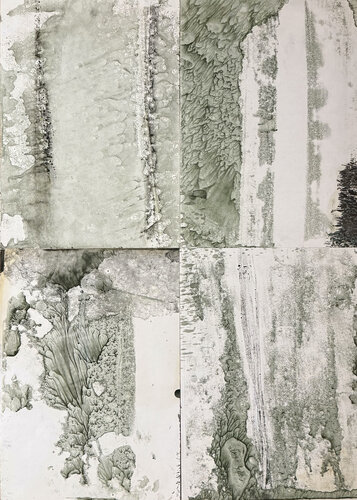 BUISSON SECRET (quadriptyque) van Marc Feld, Schilderij te koop op Singulart