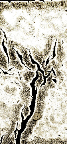 FEU FOLLET 2 by Marc Feld, Digital for Sale on Singulart