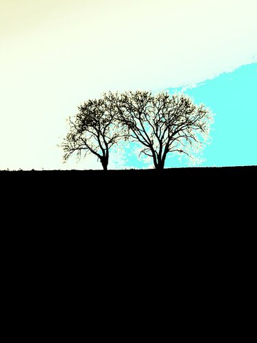 DEUX ARBRES AU LOIN 8 di Marc Feld, Fotografia in vendita su Singulart