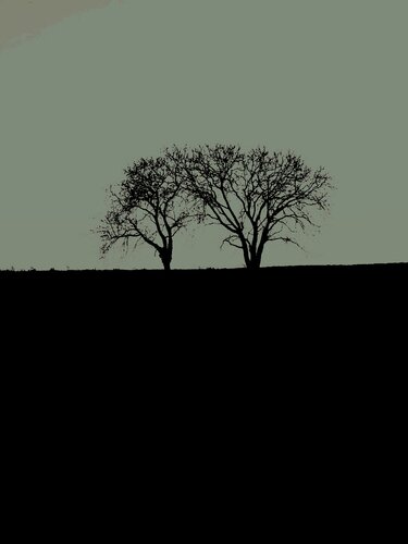 DEUX ARBRES AU LOIN 10 di Marc Feld, Fotografia in vendita su Singulart