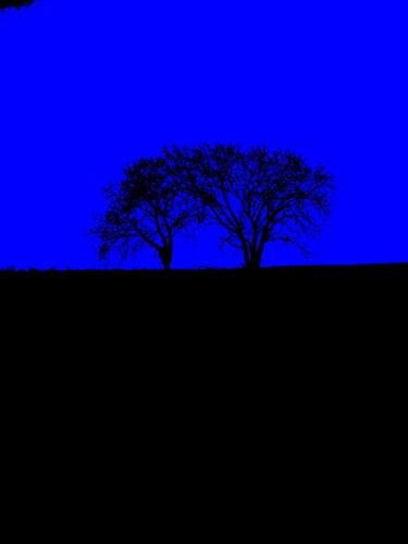 DEUX ARBRES AU LOIN 13 di Marc Feld, Fotografia in vendita su Singulart