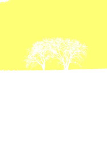 DEUX ARBRES AU LOIN 14 di Marc Feld, Fotografia in vendita su Singulart