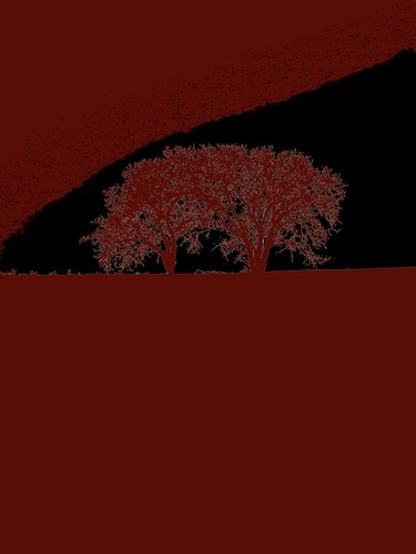 DEUX ARBRES AU LOIN 15 di Marc Feld, Fotografia in vendita su Singulart