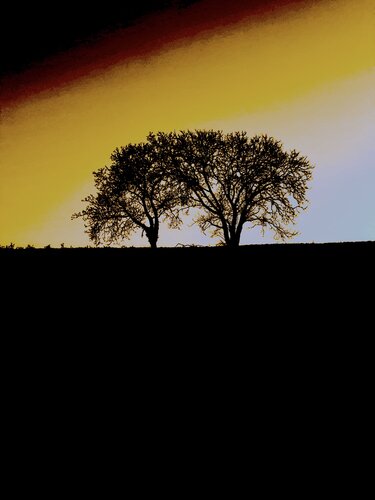 DEUX ARBRES AU LOIN 21 di Marc Feld, Fotografia in vendita su Singulart