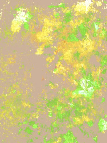 VERGERS D'ASTRES 3 par Marc Feld, Digital en vente sur Singulart