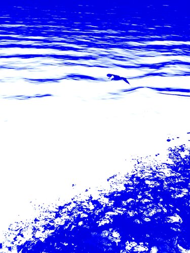 BIRD AND SEA 9 van Marc Feld, Fotografie te koop op Singulart