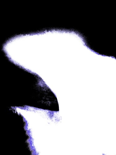 ANCESTRAL 13 von Marc Feld, Digital kaufen auf Singulart