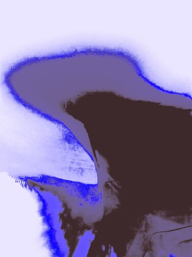 ANCESTRAL 14 di Marc Feld, Digitale in vendita su Singulart