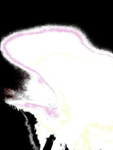 ANCESTRAL 16 van Marc Feld, Digitaal te koop op Singulart