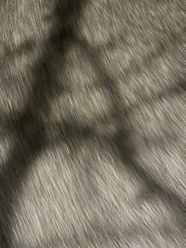 ASPHALT TREE 1 van Marc Feld, Fotografie te koop op Singulart
