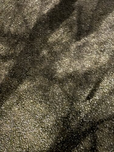 ASPHALT TREE 2 von Marc Feld, Fotografie kaufen auf Singulart