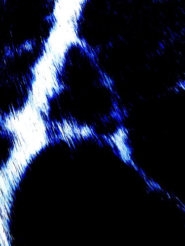 BRANCHE ÉPHÉMÈRE 2 von Marc Feld, Digital kaufen auf Singulart