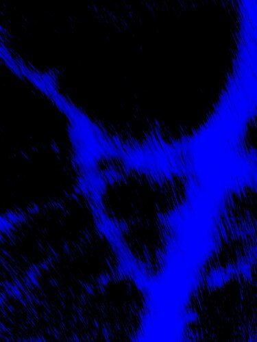 BRANCHE ÉPHÉMÈRE 5 von Marc Feld, Digital kaufen auf Singulart