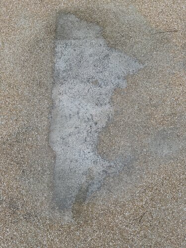 LE SEUIL LE SABLE 3 (little song for Edmond Jabès) di Marc Feld, Fotografia in vendita su Singulart