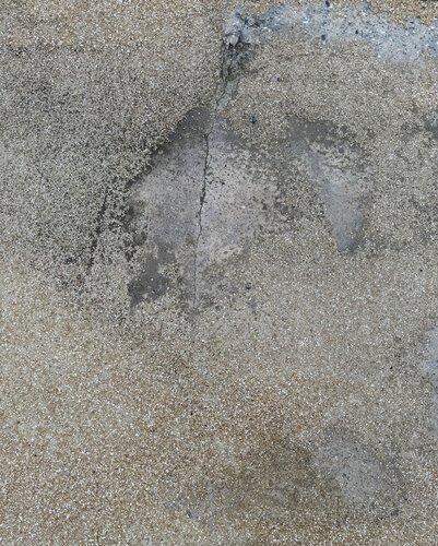 LE SEUIL LE SABLE 11 (little song for Edmond Jabès) di Marc Feld, Fotografia in vendita su Singulart