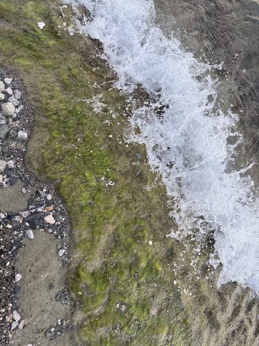 ÉCUME 4 by Marc Feld, 사진 for Sale on Singulart