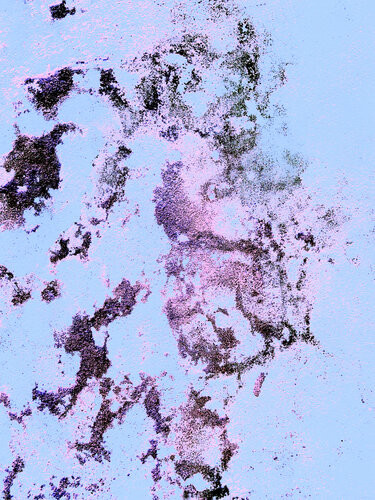 MÉTAPHORE 4 by Marc Feld, Photography for Sale on Singulart