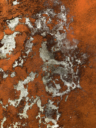 MÉTAPHORE 8 by Marc Feld, Photography for Sale on Singulart