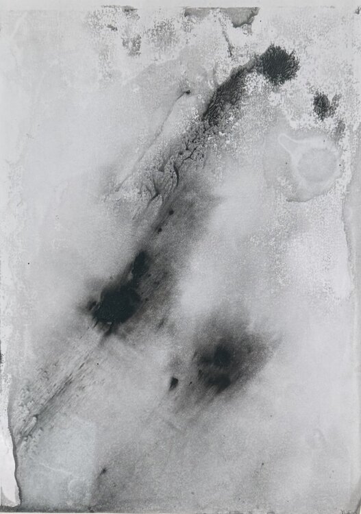 GESTATION Marc Feld