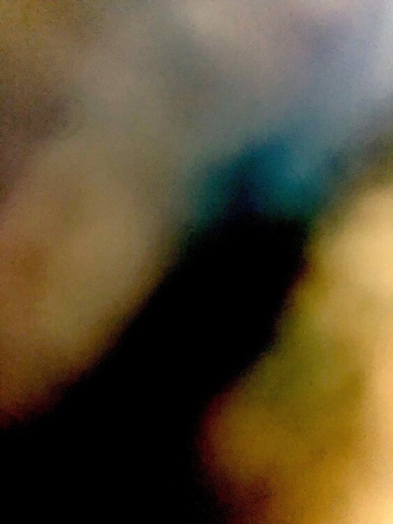 LA LUMIÈRE EST UNE OMBRE LENTE 6 Marc Feld