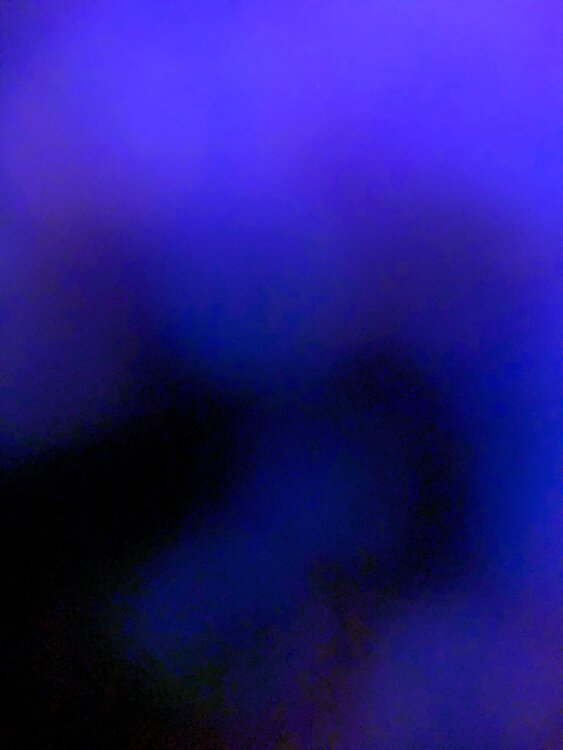 LA LUMIÈRE EST UNE OMBRE LENTE 17 Marc Feld