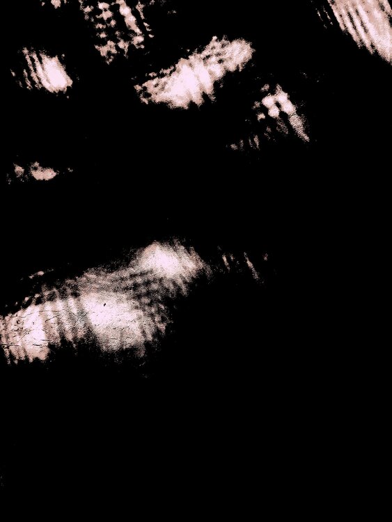 OMBRES LENTES 21 Marc Feld