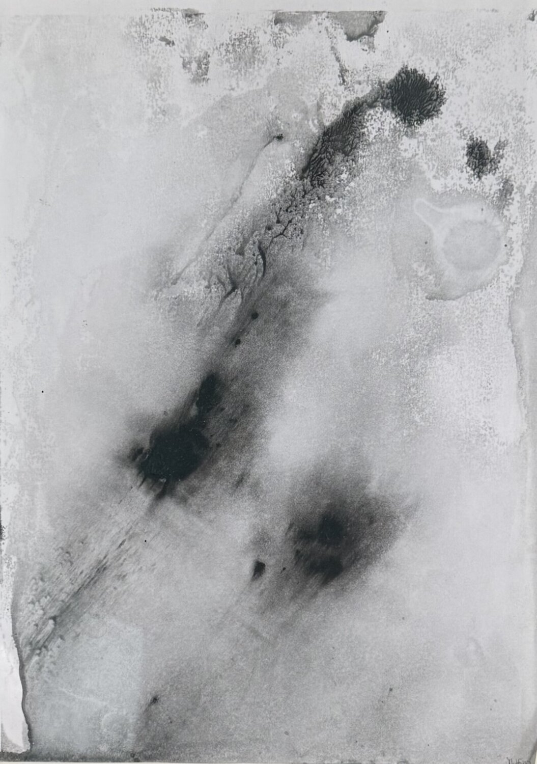 GESTATION Marc Feld