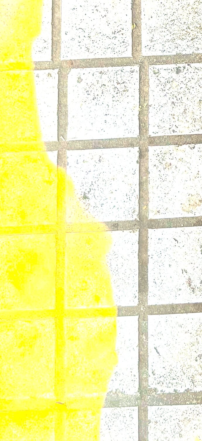 SANS TITRE Marc Feld