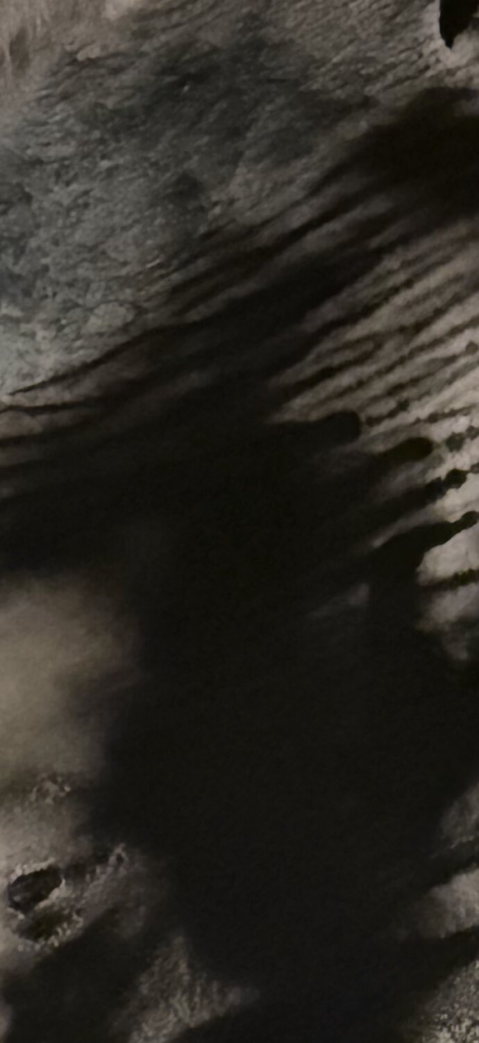 SANS TITRE Marc Feld