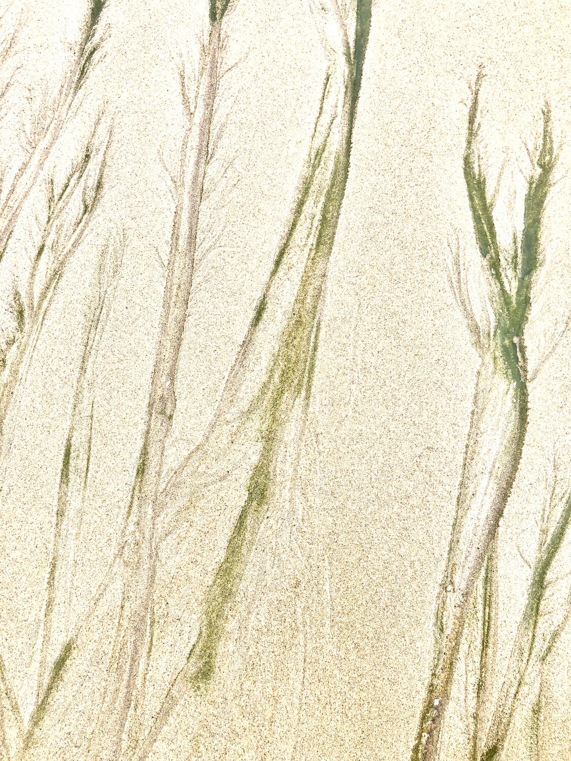 SABLES INVENTÉS 13 Marc Feld