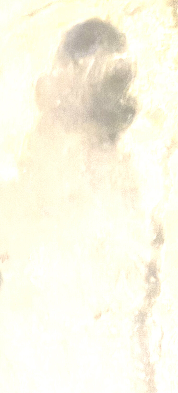 AUTOPORTAIT 5 Marc Feld