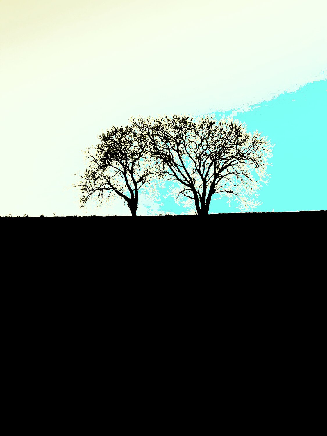 DEUX ARBRES AU LOIN 8 Marc Feld