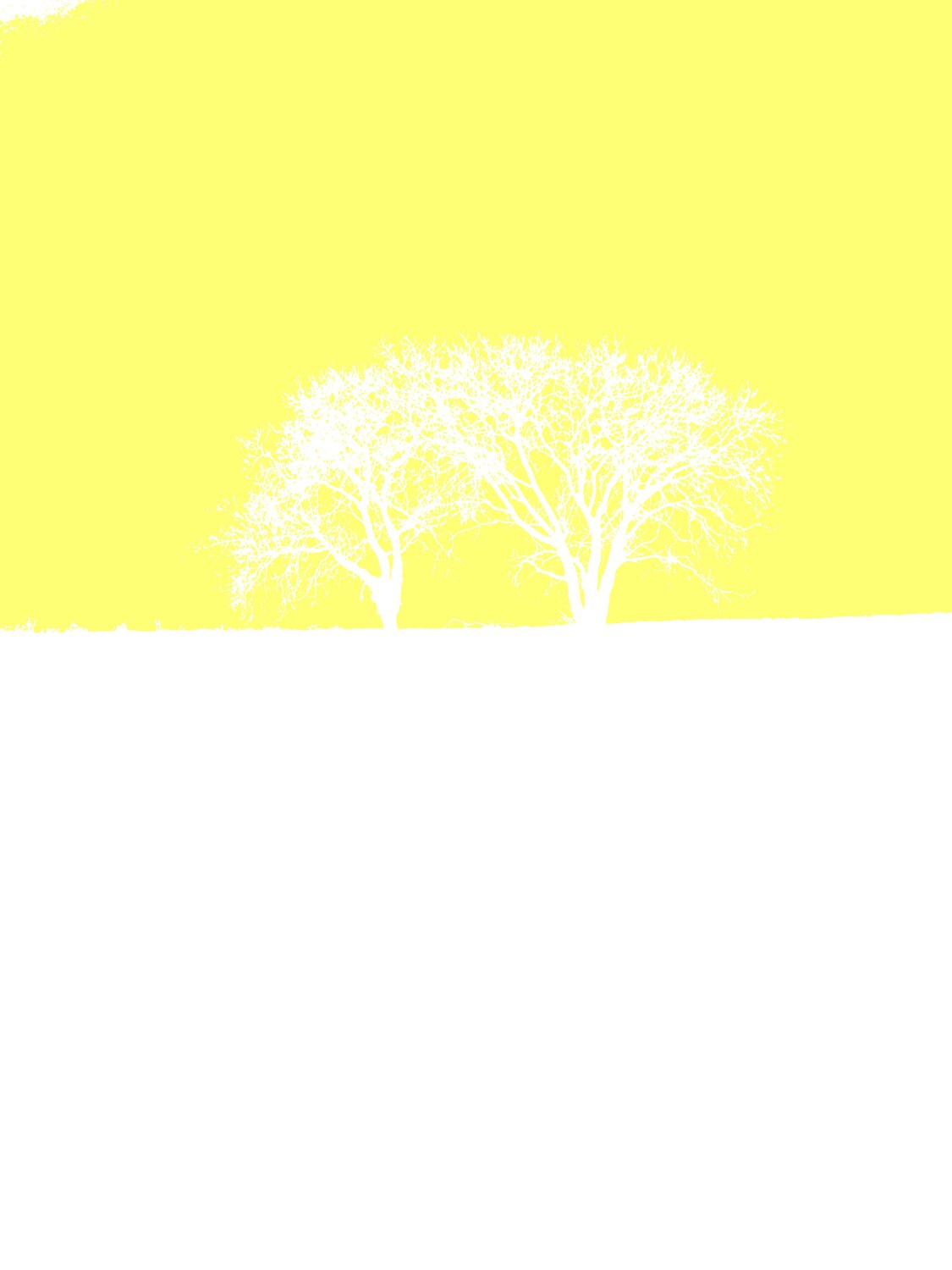 DEUX ARBRES AU LOIN 14 Marc Feld