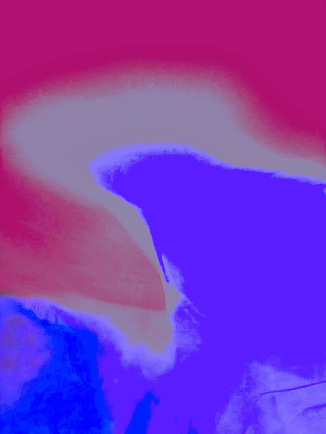 ANCESTRAL 2 Marc Feld