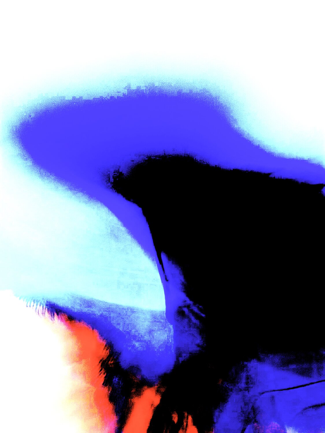 ANCESTRAL 5 Marc Feld