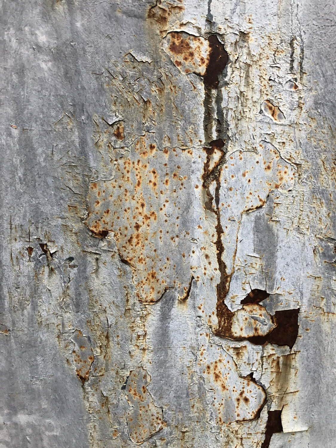 ROUILLE 2 Marc Feld Photography for sale