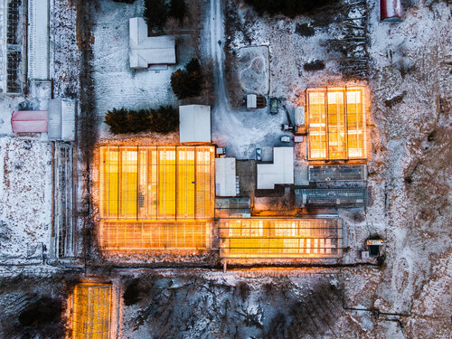 Glow by Bragi Thor Jósefsson, 사진 for Sale on Singulart